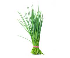 Chives